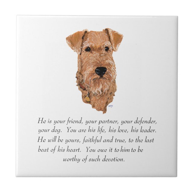 Irish Terrier Keepsake - Male Tile (Front)