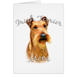 Irish Terrier Mum 2