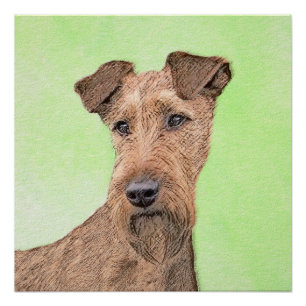 Irish Terrier Painting - Cute Original Dog Art Poster