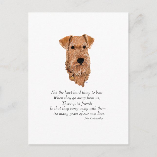 Irish Terrier Rainbow Bridge Postcard (Front)
