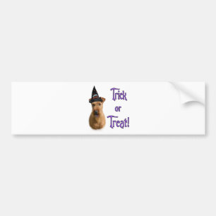 Irish Terrier Trick Bumper Sticker