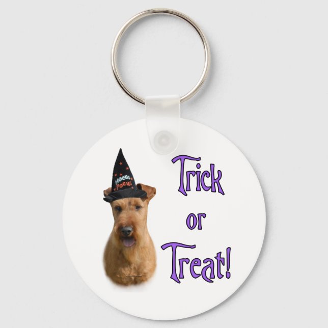 Irish Terrier Trick Key Ring (Front)
