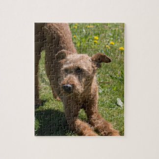 Irish Terrier Yoga Jigsaw Puzzle