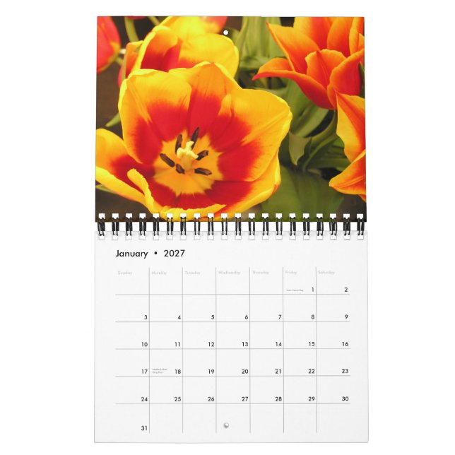 Irish Tulip Festival Calendar (Jan 2027)