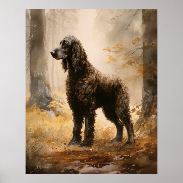 Irish Water Spaniel Dog Art Print Poster (Front)
