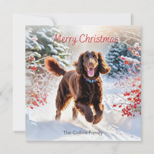 Irish Water Spaniel In Snow Winter Merry Christmas Holiday Card