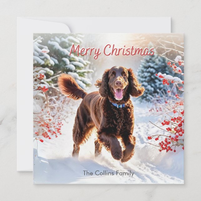 Irish Water Spaniel In Snow Winter Merry Christmas Holiday Card (Front)