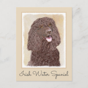 Irish Water Spaniel Painting - Original Dog Art Postcard