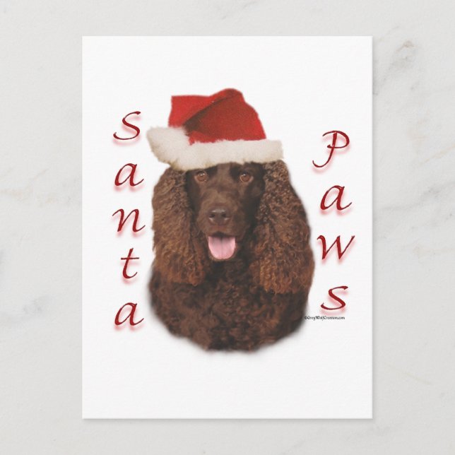 Irish Water Spaniel Santa Paws Holiday Postcard (Front)