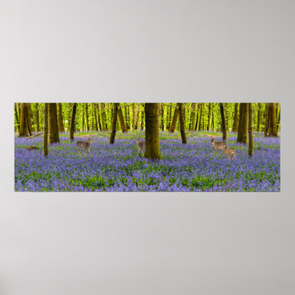 Irish Wildlife Poster