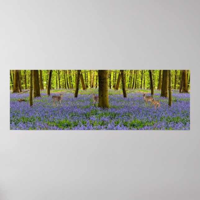 Irish Wildlife Poster (Front)