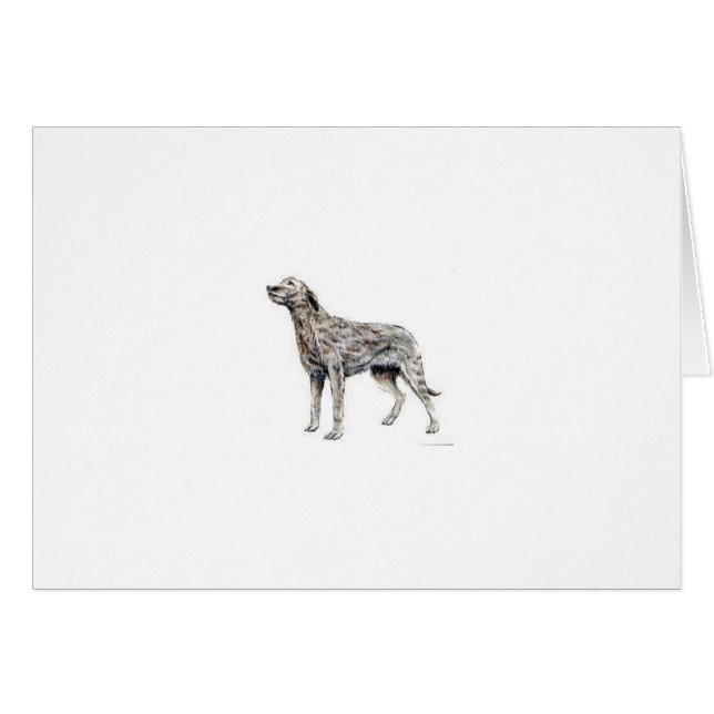 Irish Wolfhound (Front Horizontal)