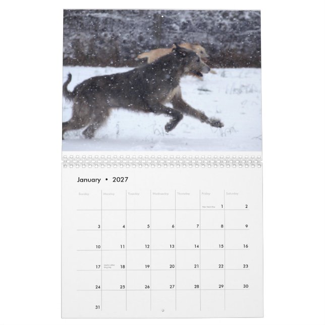 Irish Wolfhound 2012 Calendar (Jan 2027)
