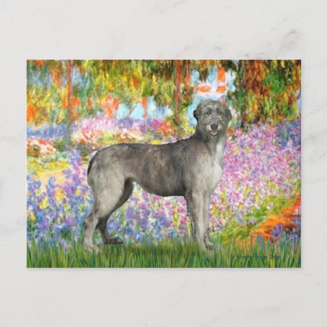 Irish Wolfhound 3 - Garden Postcard (Front)