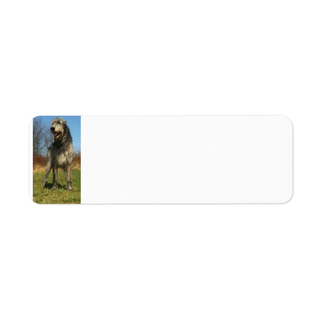 irish-wolfhound-full return address label (Front)