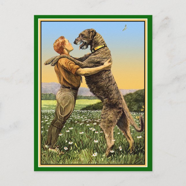 Irish Wolfhound Greeting Postcard (Front)