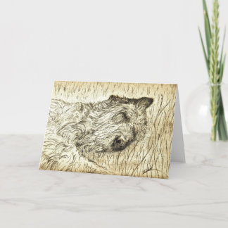 Irish Wolfhound "Let sleeping dogs lie" Card