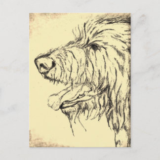 Irish Wolfhound Looking Pleased Postcard