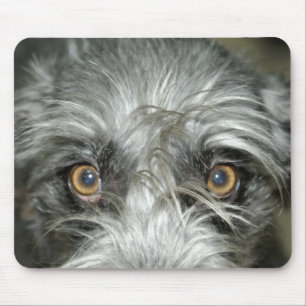 Irish wolfhound mouse pad