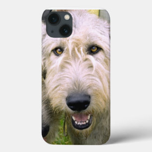 Irish Wolfhound Photo iPhone 13 Case
