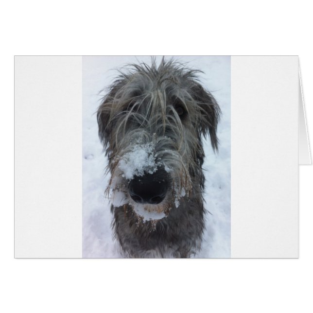 irish wolfhound playing in the snow (Front Horizontal)