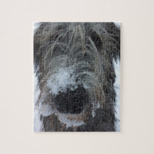 irish wolfhound playing in the snow jigsaw puzzle