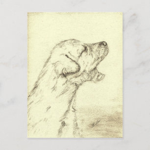 Irish Wolfhound Puppy Postcard
