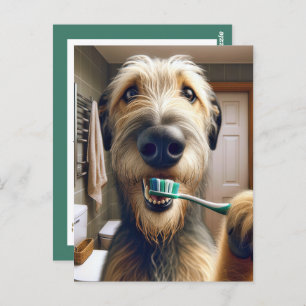 Irish Wolfhound Reminder from Veterinarian Office Postcard