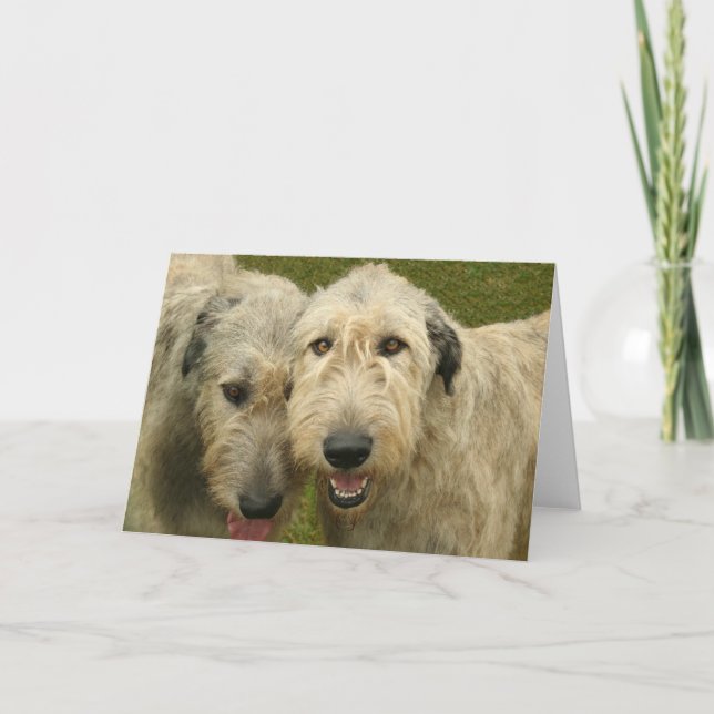 Irish Wolfhounds Card (Front)