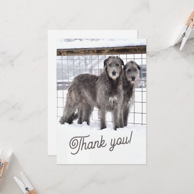Irish Wolfhounds in Snow Invitation (Front/Back In Situ)