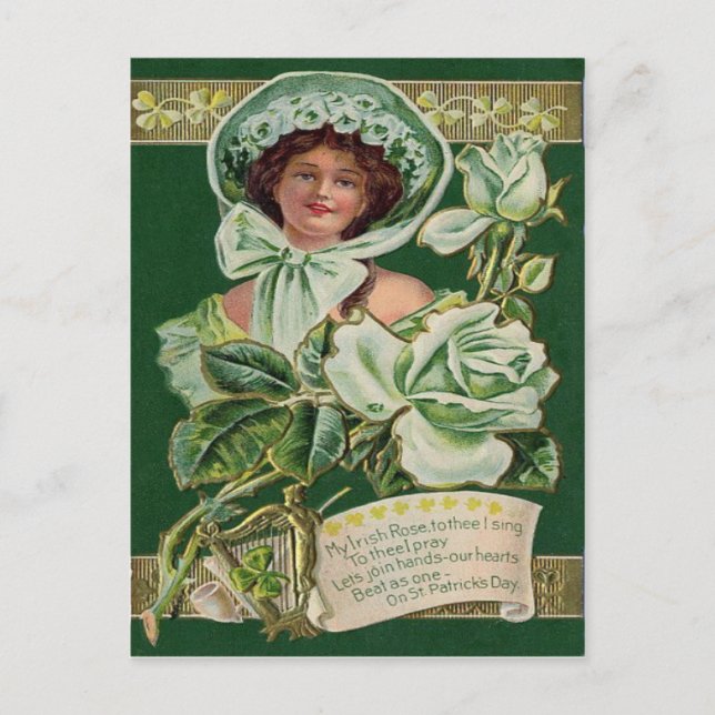 Irish Woman Rose Shamrock Clay Pipe Harp Postcard (Front)