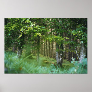Irish Wood Poster