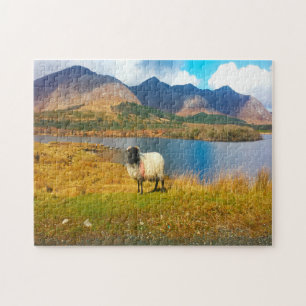 Irish Woolly Sheep Galway Ireland. Jigsaw Puzzle