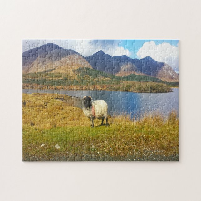 Irish Woolly Sheep Galway Ireland. Jigsaw Puzzle (Horizontal)