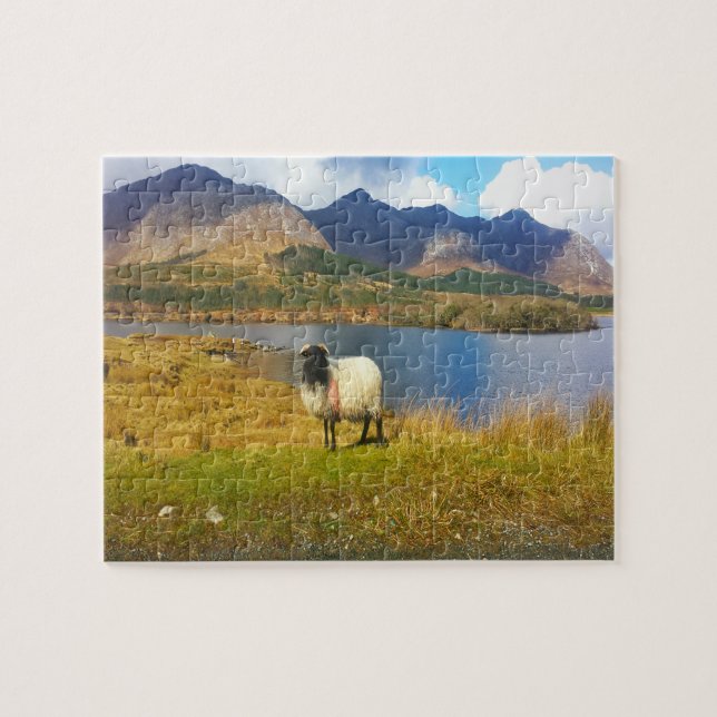 Irish Woolly Sheep Galway Ireland. Jigsaw Puzzle (Horizontal)