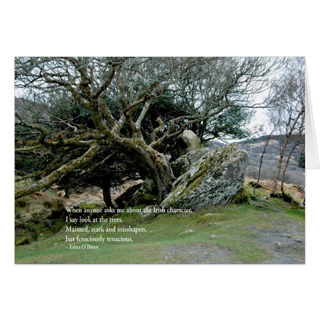 IrishTrees (Front Horizontal)