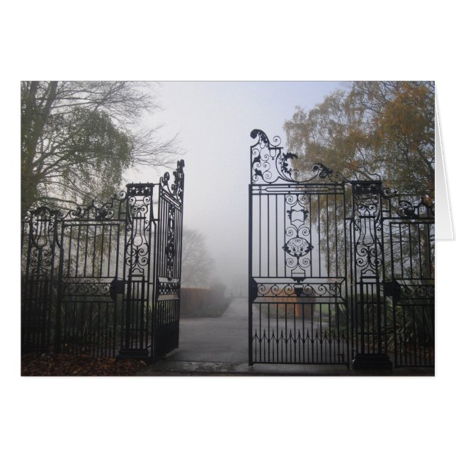 Iron gate (Front Horizontal)