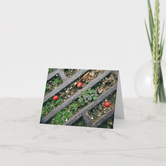 Iron Grate & Berries - Notecard (Front)