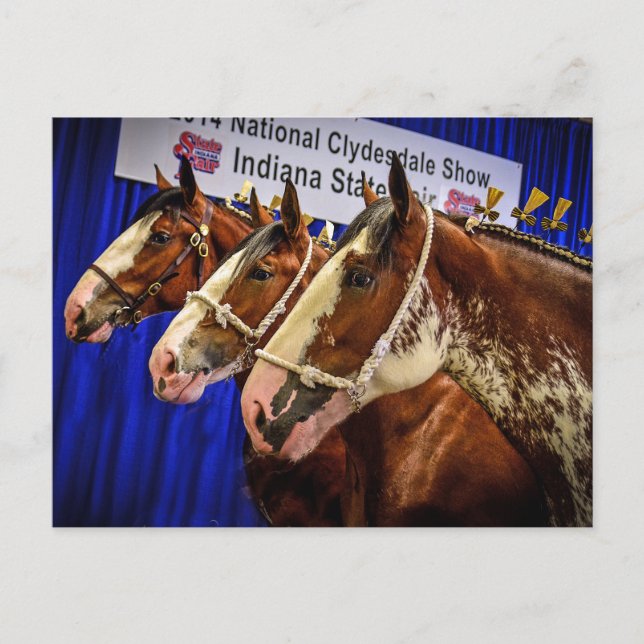 Iron Horse 3 Heads Postcard (Front)