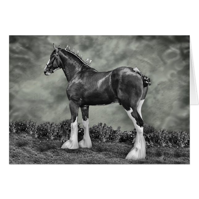 Iron Horse Steele (Front Horizontal)