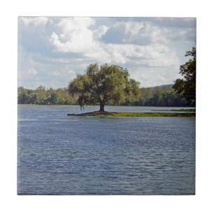 Iron Mountain Lake Tile