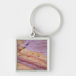 Iron oxides colour a sandstone formation key ring