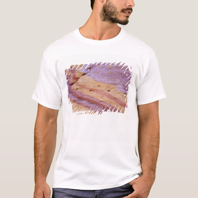 Iron oxides colour a sandstone formation T-Shirt (Front)