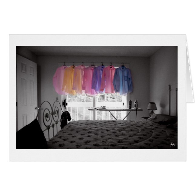 Ironing Adds Colour to a Room (Front Horizontal)