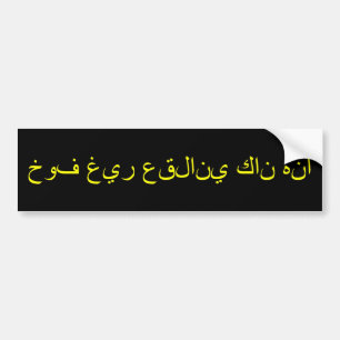 Irrational Fear was Here. Bumper Sticker