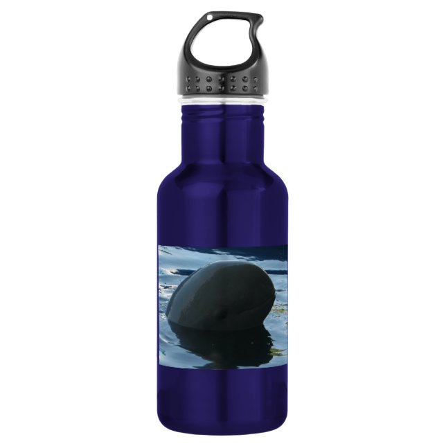 Irrawaddy Dolphin Peek-A-Boo 532 Ml Water Bottle (Front)