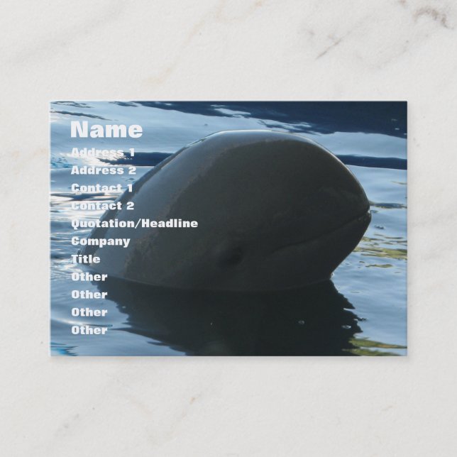 Irrawaddy Dolphin Peek-A-Boo Business Card (Front)