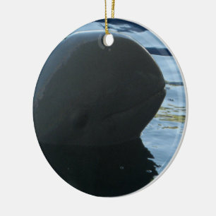 Irrawaddy Dolphin Peek-A-Boo Ceramic Tree Decoration