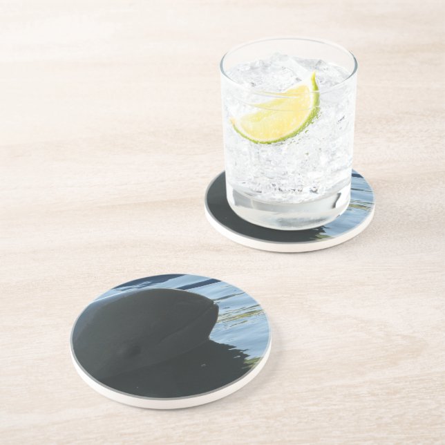 Irrawaddy Dolphin Peek-A-Boo Coaster (Side)