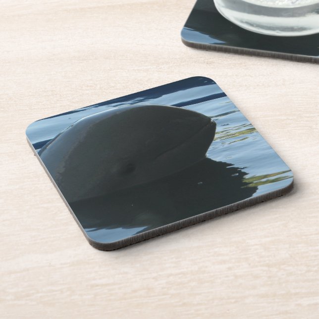 Irrawaddy Dolphin Peek-A-Boo Coaster (Left Side)